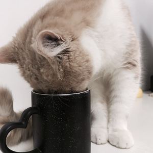 男男Gay做受❌❌高潮羽锡
