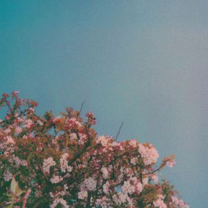 男男Gay做受❌❌高潮羽锡
